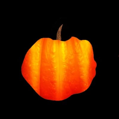 Pumpkin FruitSkin