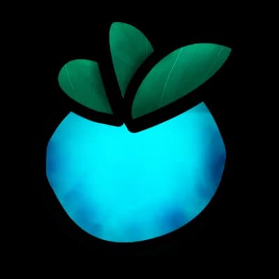 Winter Melon FruitSkin